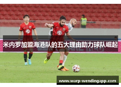 米内罗加盟海港队的五大理由助力球队崛起