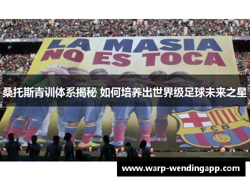 桑托斯青训体系揭秘 如何培养出世界级足球未来之星 桑托斯青训体系揭秘 如何培养出世界级足球未来之星