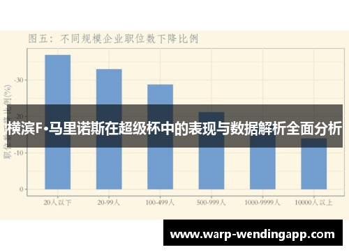 横滨F·马里诺斯在超级杯中的表现与数据解析全面分析 横滨F·马里诺斯在超级杯中的表现与数据解析全面分析