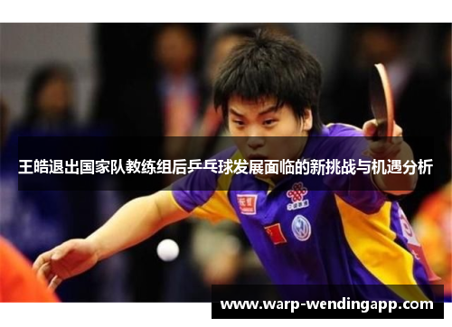 王皓退出国家队教练组后乒乓球发展面临的新挑战与机遇分析 王皓退出国家队教练组后乒乓球发展面临的新挑战与机遇分析