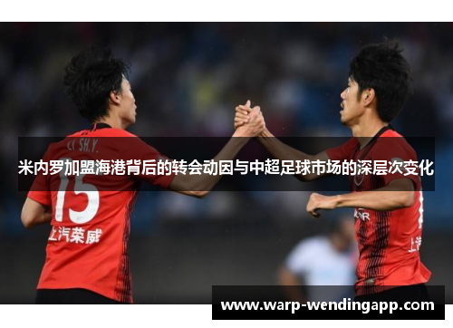 米内罗加盟海港背后的转会动因与中超足球市场的深层次变化